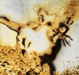 Mountain Lion Cub II